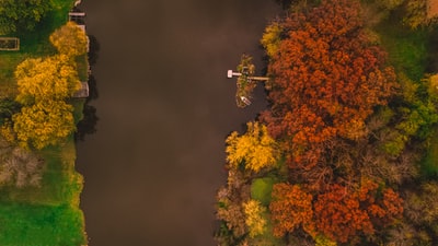 胰岛与码头河包围橙色和黄色树木航空摄影
